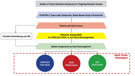 恩曲替尼 非小细胞肺癌又一选择 是脑转移患者的首选 北京凯石国际医疗技术有限公司